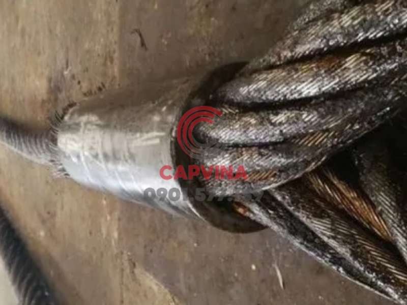 Cáp thép bấm chì 120mm