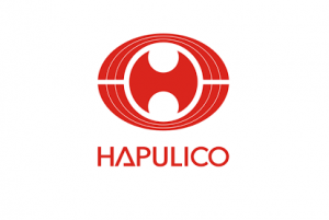 Công ty TNHH MTV Chiếu sáng và Thiết bị Đô thị