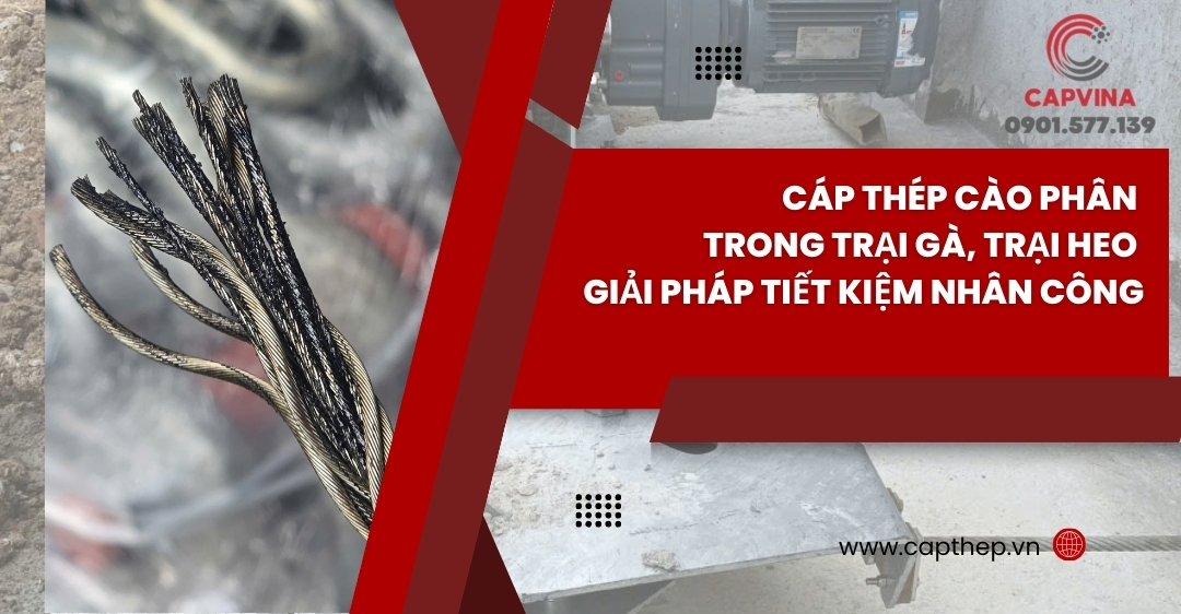 Cáp thép cào phân trong trại gà, trại heo – Giải pháp tiết kiệm nhân công